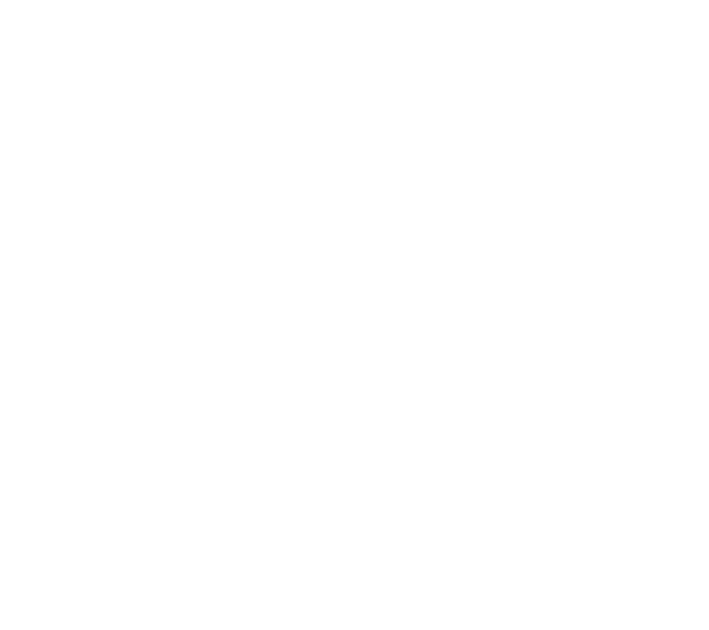 Rock of Success Logo weiß